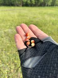 image-10-06-25-19-19-3.jpeg