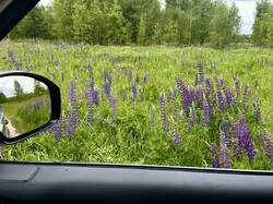 image-10-06-25-19-19-9.jpeg