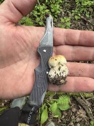 image-25-06-25-17-23.jpeg