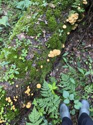 image-26-06-25-15-17-3.jpeg