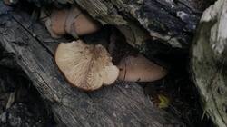 1077246382_07-25-12(2).thumb.jpg.17e693613dabef1fefa84021c2d37548.jpg