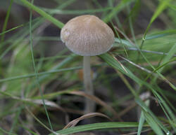 1400_DSC7125.thumb.jpg.ae2aec204e049a6dc49bf92e54988758.jpg