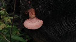1790721240_07-25-11-(2).thumb.jpg.80b26aef1069eecfe2f203b81016dcaf.jpg
