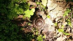 1846891224_06-25-09-(4).thumb.jpg.a54762c20a77f0fbc5b24ebee4370b8f.jpg