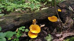 1884813763_07-25-05_-(2).thumb.jpg.a5352980207e1488aeb79c972fa0ecec.jpg