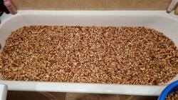 20230914_173814.thumb.jpg.d2532ccc97caaa7824025372d445ceec.jpg
