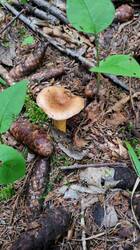20250705_054608.jpg