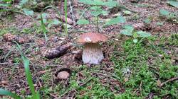 20250705_061705.jpg