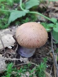 20250705_102310.jpg
