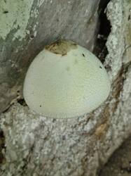 20250724_081247.thumb.jpg.ffc007a58a040e7729f8ed93587082e3.jpg