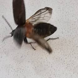 20250725_201351.thumb.jpg.bdf8d74a98cf3c823191dd3648d9aef4.jpg