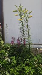 20250725_211616.jpg