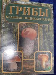 20250725_235802.thumb.jpg.258c5550d9b284a54287cd18fcb892bf.jpg