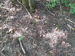 20250726_114049.jpg