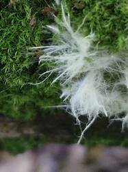 20250727_081959.thumb.jpg.a2f5c28d69a45489cb69c2ae8c79cacc.jpg