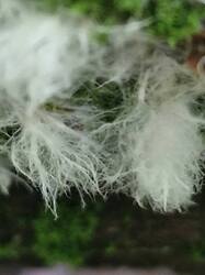 20250727_082015.thumb.jpg.597f720acdaf282e80d8d4970a332bcb.jpg