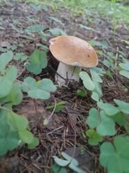 20250729_050754.jpg
