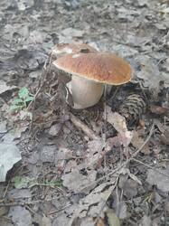 20250729_063513.jpg