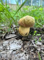 2E892D95-5B4F-4F02-BC51-963A84B3E7BC.jpeg