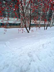 35E2C1FD-F82D-4DF5-8CFA-D319353A8E78.jpeg