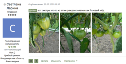 2025-07-25 20_33_02-Дела огородные 2025 - Страница 152 - Быт и досуг - Грибы средней полосы — Mozill.png