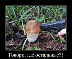 670020672_.thumb.jpg.dc15866ffd9b8d45a43a6d01bf9fc39d.jpg