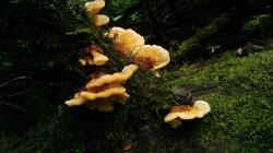 890947718_07-25-25-(4).thumb.jpg.4fefede46ee5652ca937088536088331.jpg