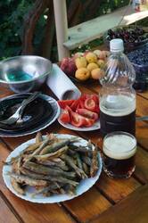 DSC06216.jpg
