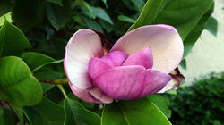 DSC09524.thumb.JPG.5165b7a672afb0935e10da48df455d59.JPG