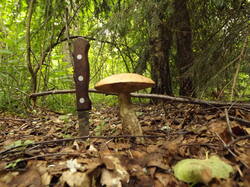 DSCF5841.JPG