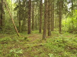 DSCF5844.JPG