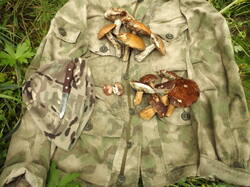 DSCF5849.JPG