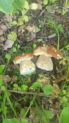 IMG-20250703-WA0009.jpeg
