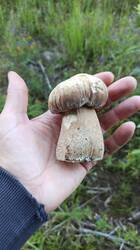 IMG-20250703-WA0024.jpeg