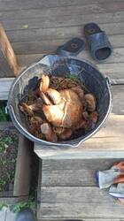 IMG-20250704-WA0006.jpeg