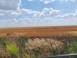 IMG-20250704-WA0174.thumb.jpg.ab7b8e0281f8c7d49c8c021909195b68.jpg
