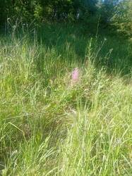 IMG-20250706-WA0003.jpg