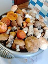 IMG-20250708-WA0003(1).jpg