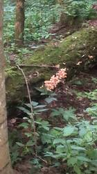IMG-20250708-WA0022.jpg