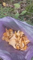 IMG-20250719-WA0012.jpeg