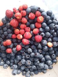 IMG-20250719-WA0012.thumb.jpg.854f40486165919025a894da3ce177c4.jpg
