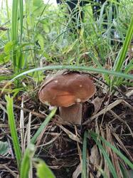 IMG-20250726-WA0000.jpg