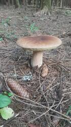 IMG-20250730-WA0000.jpeg