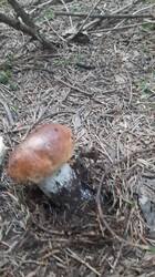 IMG-20250730-WA0002.jpeg