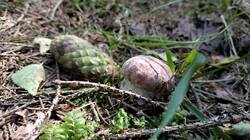 IMG20250705151316.jpg