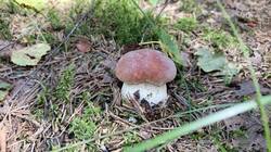 IMG20250705151438.jpg