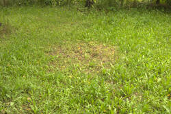 IMG_0015.thumb.jpg.a2ad7d073e496f01f529451ba0c45e6b.jpg