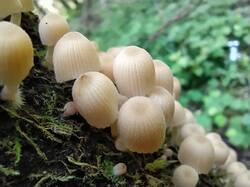 IMG_0813.jpeg