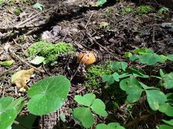 IMG_0817.jpeg