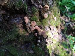 IMG_0823.jpeg